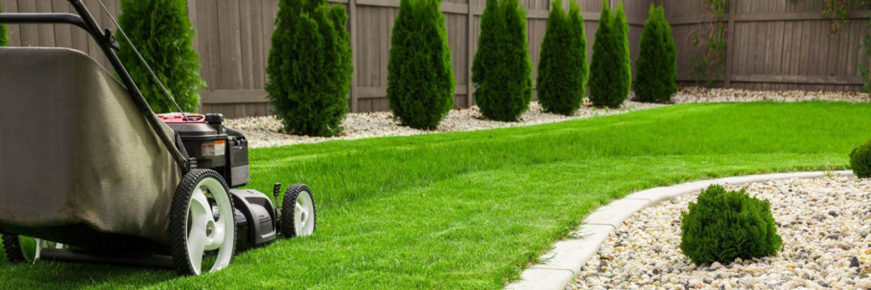 Garden Maintenance