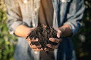 How to Choose the Right Type of Soil for Your Plant? How to Choose the Right Type of Soil for Your Plant?