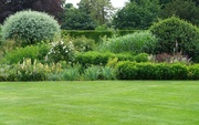 How to Create Your Own Lawn? How to Create Your Own Lawn?
