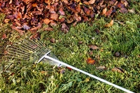 6 simple fall lawn care tips