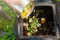 Compost guide