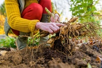 Prepare your garden for fall