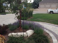 Landscaping - Softscapes