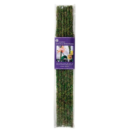 24" MOSS STAKES 6 PACK