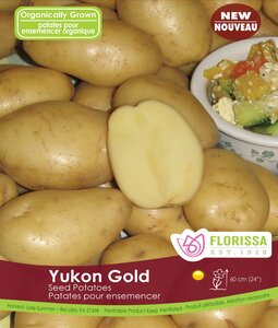 500G YUKON GOLD