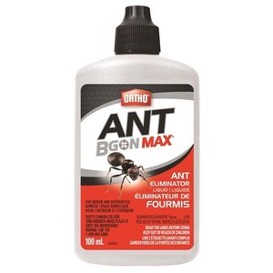 Ant BGon Max Ant Glue