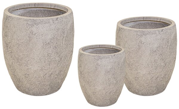 ARIZONA BULLETHIGH SAND L (Round Pot)