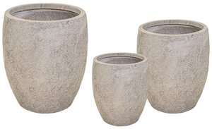 ARIZONA BULLETHIGH SAND L (Round Pot)
