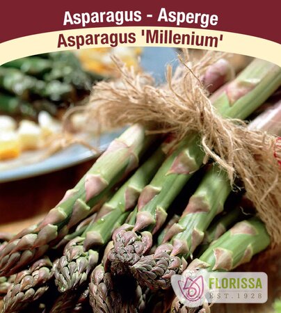 ASPARAGUS MILLENIUM 5PKG