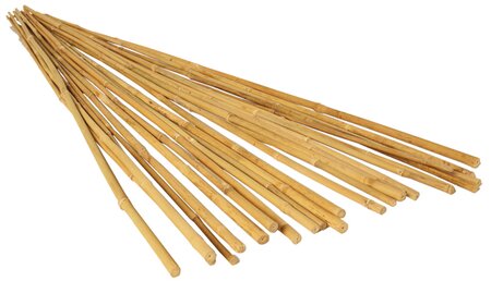 BAMBOO PLANT STAKES 24" PK OF 15