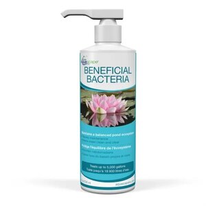 BENEFICIAL BACTERIA 8oz - image 2
