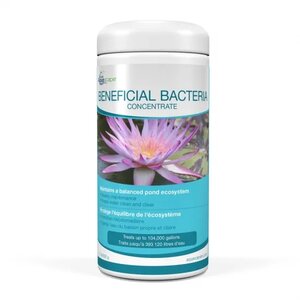 BENEFICIAL BACTERIA CONCENTRATE -1.1 LB/500 G - image 2