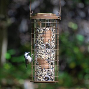 BIRD FEEDER BRASS SQUIRREL STUMPER