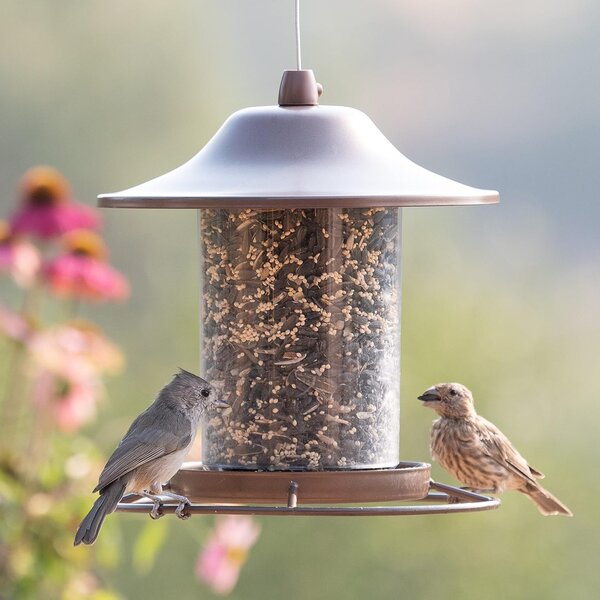 BIRD FEEDER PANORAMA