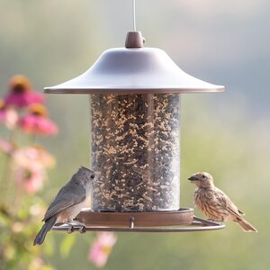 BIRD FEEDER PANORAMA
