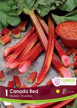 CANADA RED RHUBARB 2G