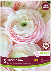 CHAMALLOW