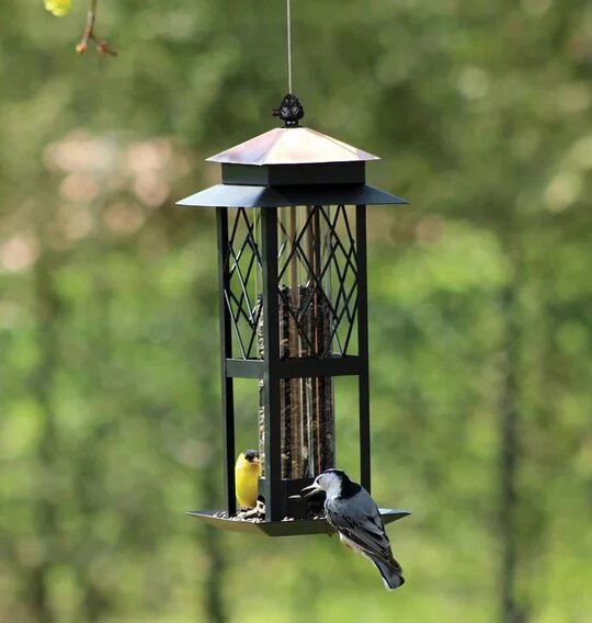 Copper & Black Trellis Tube Feeder