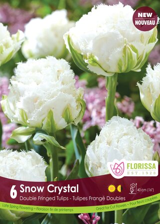 DOUBLE TULIP FRINGED SNOW CRYSTAL PKG 6