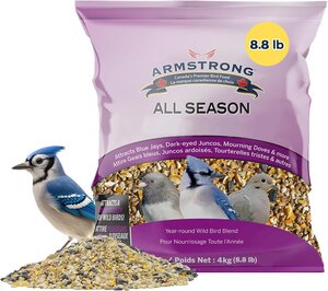 FEATHER TREAT ALL SEASON BIRD SEED 4 KG
