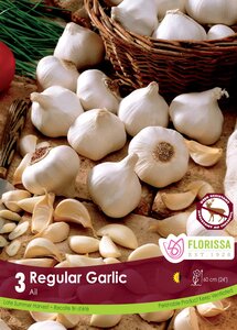 GARLIC 3 PACK