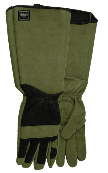 GLOVES GAME OF THORNS MENS