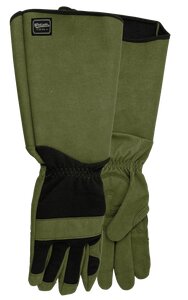 GLOVES GAME OF THORNS MENS