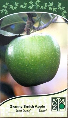 GRANNY SMITH APPLE 150CM - image 1