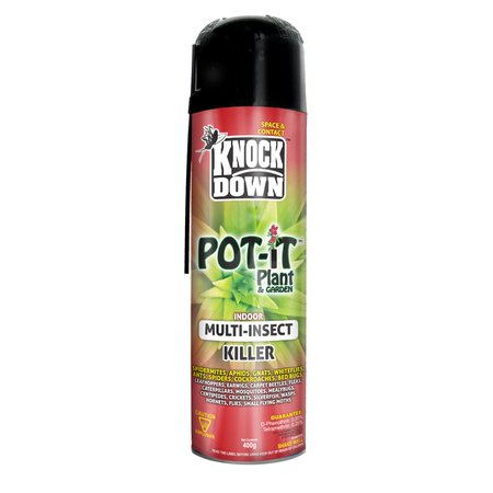 KNOCK DOWN POT IT PLANT 400G