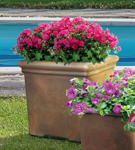 Large Square Planter TR