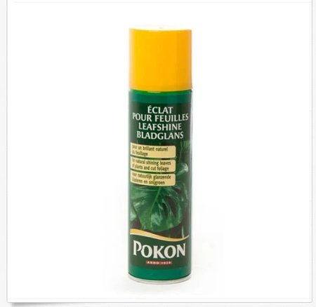 LEAF SHINE POKON 600ML