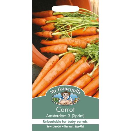 MR FOTHERGILL'S CARROT AMSTERDAM 3 - image 1