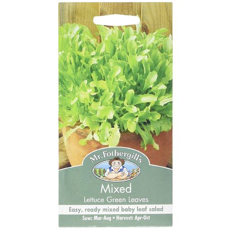 MR FOTHERGILL'S LETTUCE MIXED GREEN LEAVES