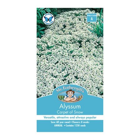 MR FOTHERGILLS ALYSSUM CARPET OF SNOW