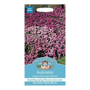 MR FOTHERGILLS AUBRIETIA - image 2