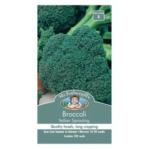 MR FOTHERGILLS BROCCOLI GREEN SPROUTING