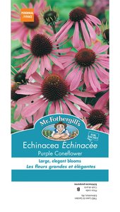 MR FOTHERGILLS ECHINACEA PURPLE CONEFLOWER