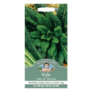 MR FOTHERGILLS KALE CHOU FRISE - image 2