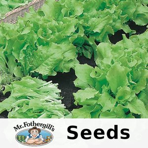 MR FOTHERGILLS LETTUCE SEED TAPE GRAND RAPIDS