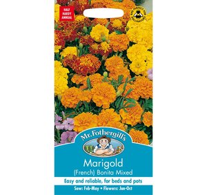 MR FOTHERGILLS MARIGOLD