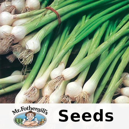 MR FOTHERGILLS ONION SPRING WHITE LISBON SEED TAPE