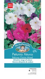 MR FOTHERGILLS PETUNIA