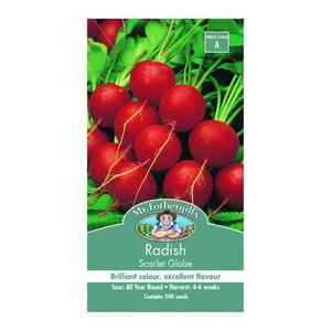 MR FOTHERGILLS RADISH SCARLET GLOBE - image 2