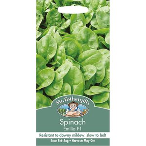 MR FOTHERGILLS SPINACH EMILYA F1 - image 2