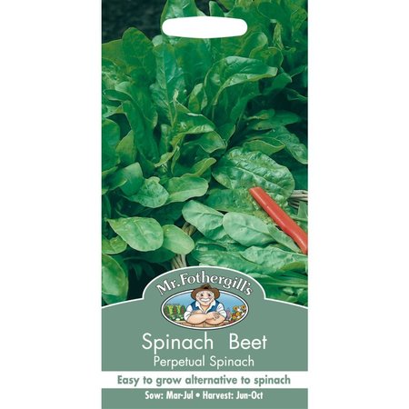 MR FOTHERGILLS SPINACH PERPETUAL LEAF BEET - image 1