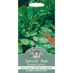 MR FOTHERGILLS SPINACH PERPETUAL LEAF BEET - image 1