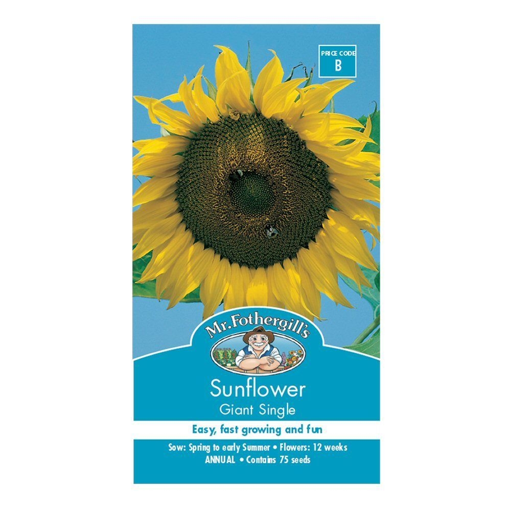 MR FOTHERGILLS SUNFLOWER GIANT SINGLE - Oxford Insta-Shade