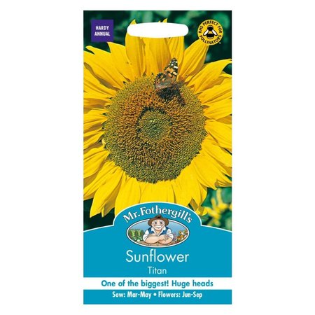 MR FOTHERGILLS SUNFLOWER TITAN