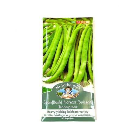 MR FOTHERGILLS TENDERGREEN BUSH BEAN - image 1