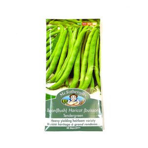 MR FOTHERGILLS TENDERGREEN BUSH BEAN - image 2
